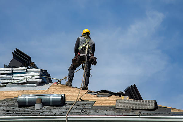 Professional Roofing technician working in Delhi, LA